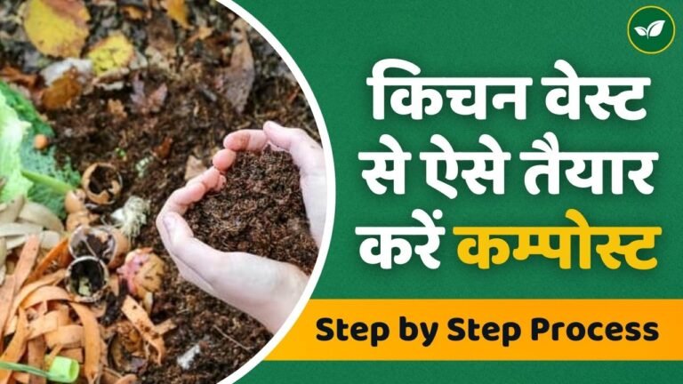 किचन वेस्ट से ऐसे तैयार करें पौधों के लिए अमृत जैसा कम्पोस्ट, जानिए Step by Step प्रोसेस