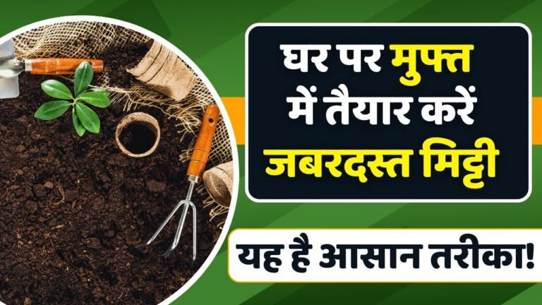 Gardening Tips: घर पर फ्री में बनाए बेहतरीन मिट्टी? यह है सबसे आसान तरीका!